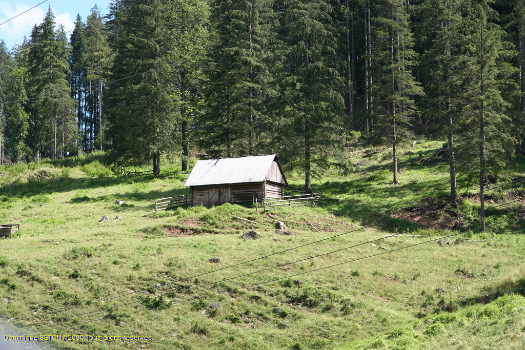 ROU_050810-135134