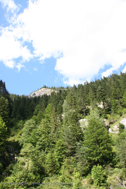 ROU_050810-141924