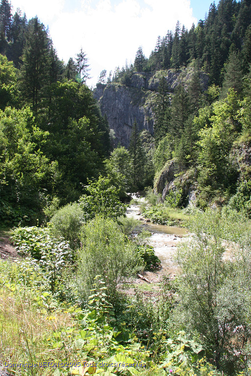 ROU_050810-142256