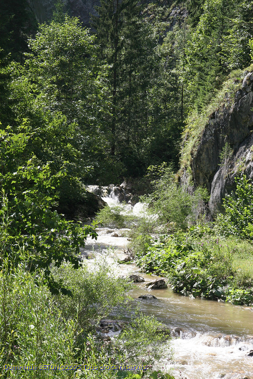 ROU_050810-142304