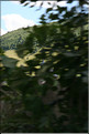 ROU_050810-144306