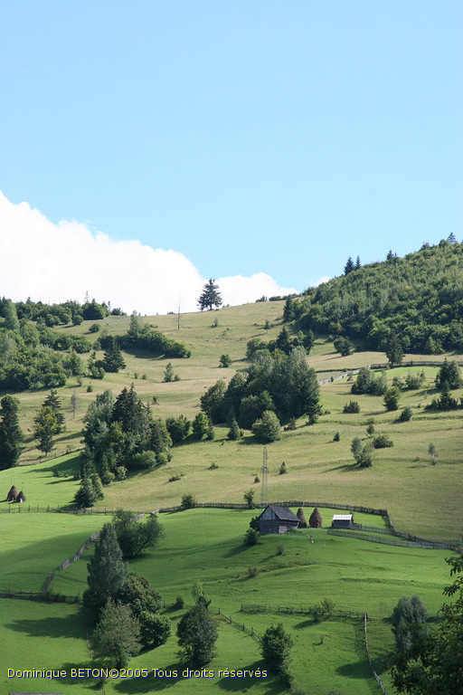 ROU_050810-144426