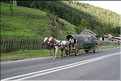 ROU_050810-145108