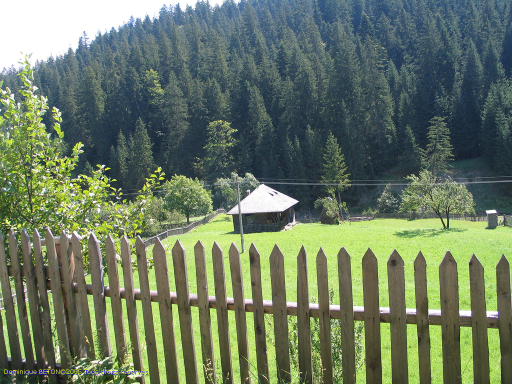 ROU_050811-101222G5
