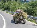 ROU_050811-102926G5