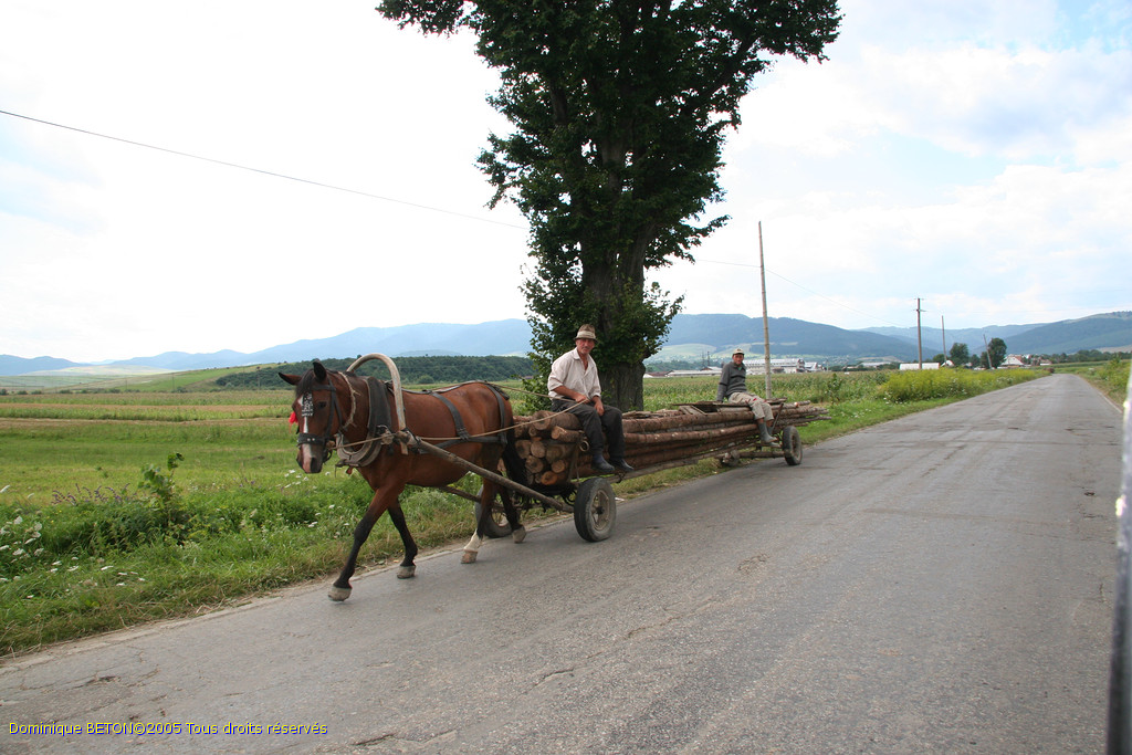 ROU_050811-133344