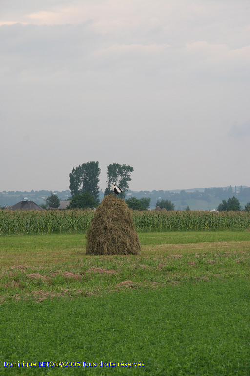 ROU_050811-152420