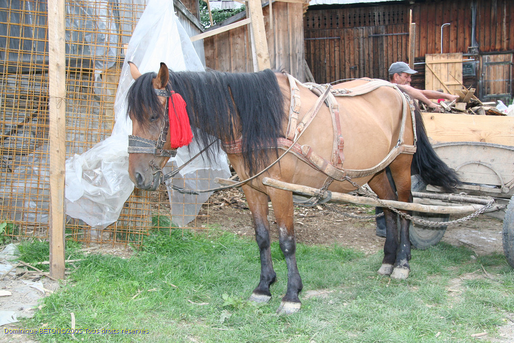 ROU_050811-172242