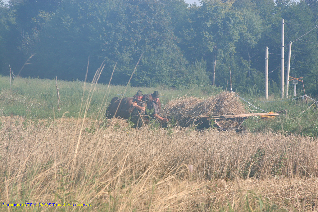 ROU_050812-082206