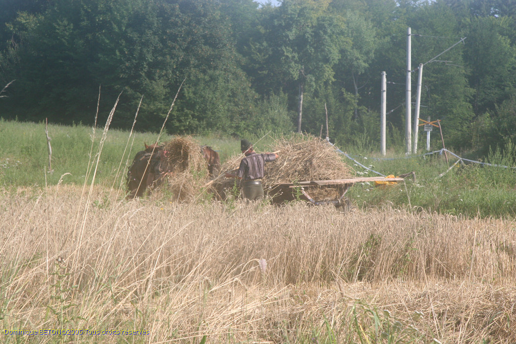 ROU_050812-082218