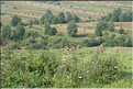 ROU_050812-083504