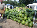 ROU_050812-092522G5