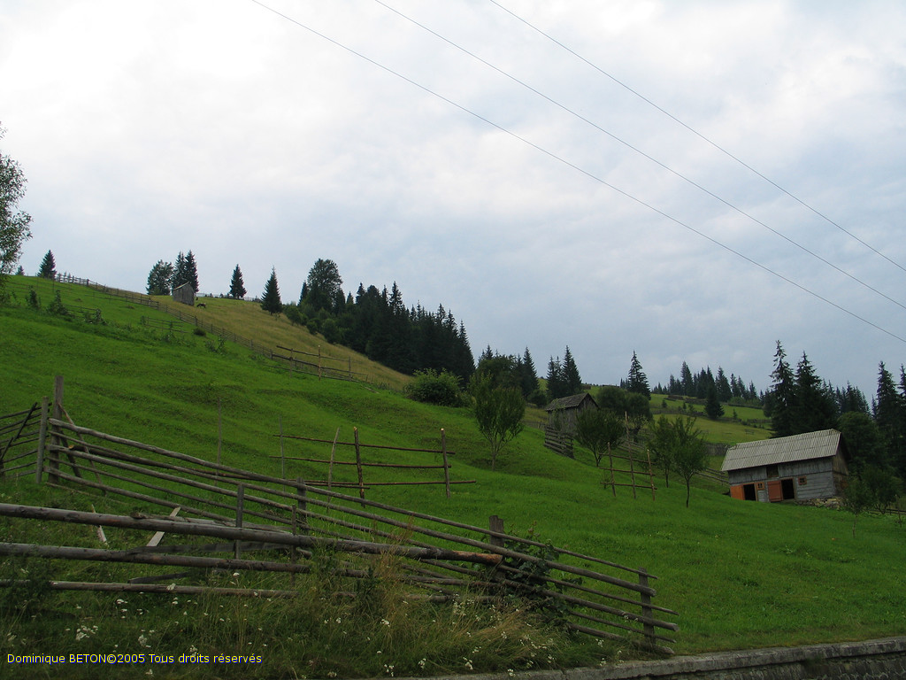 ROU_050812-141814G5