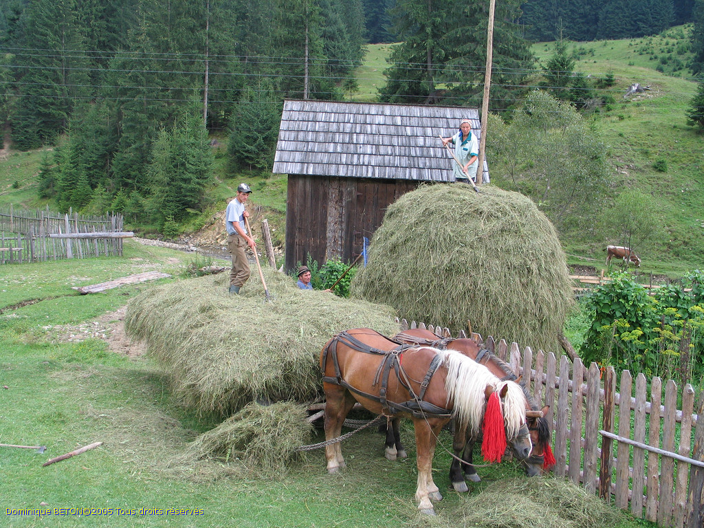 ROU_050812-142708G5