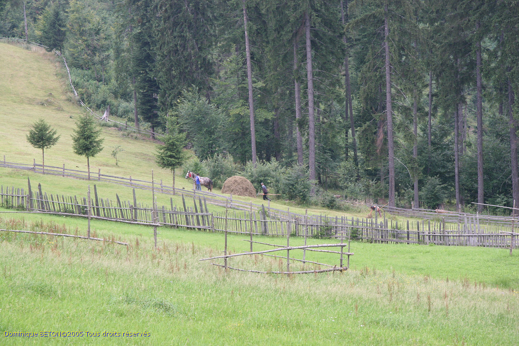 ROU_050812-143942
