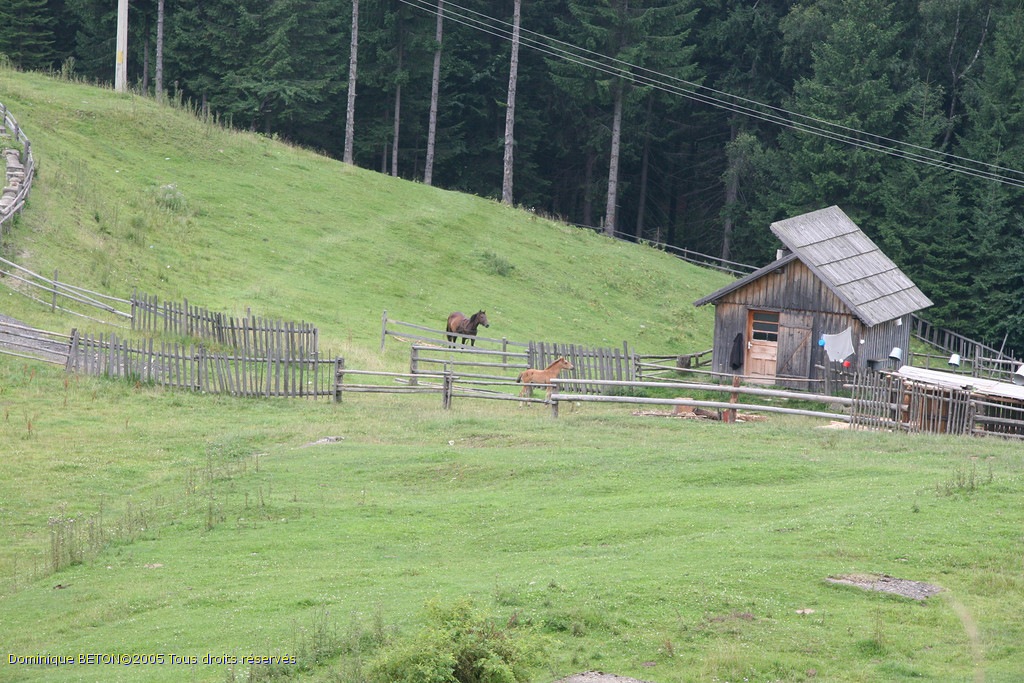 ROU_050812-144100