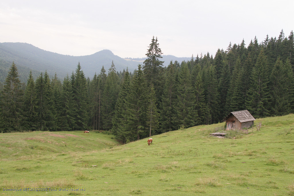 ROU_050812-144232