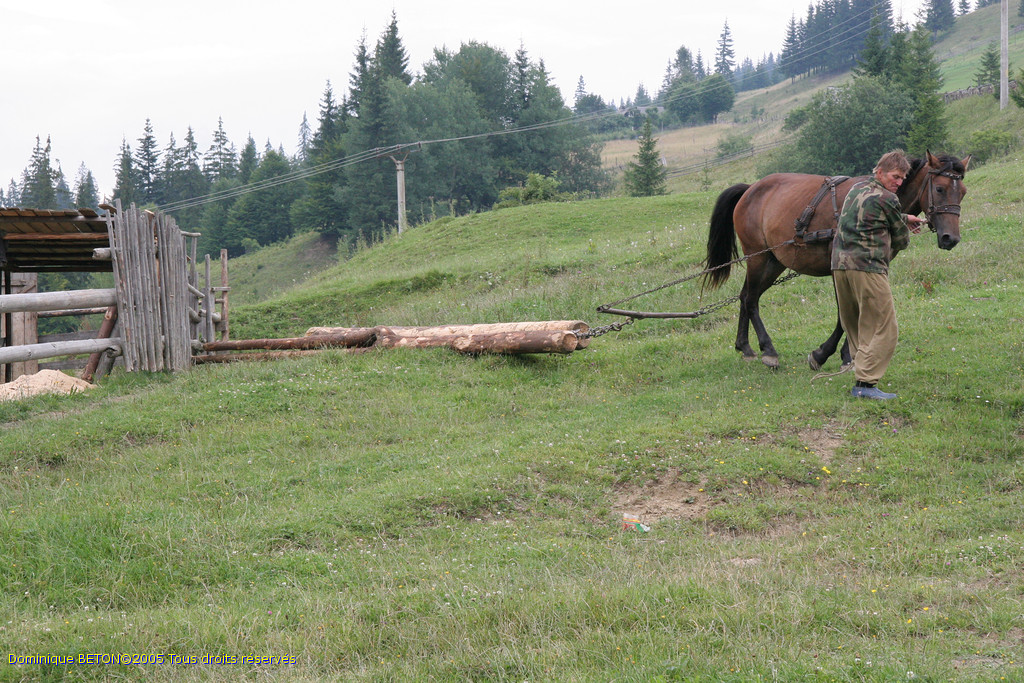 ROU_050812-144346