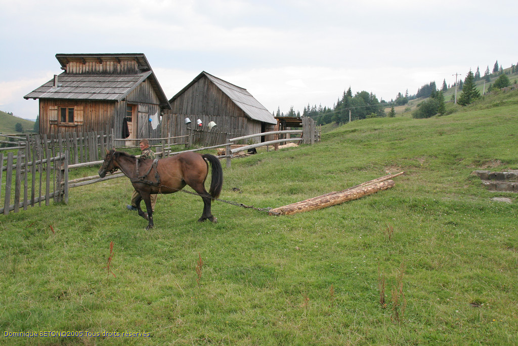 ROU_050812-144402