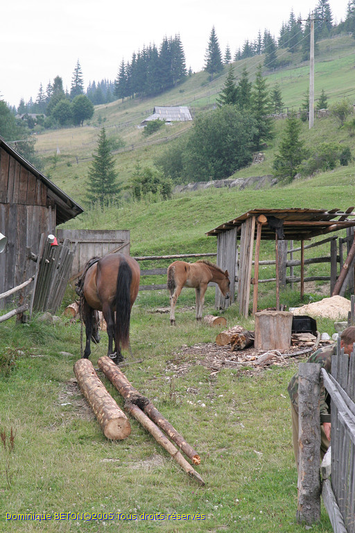 ROU_050812-144502