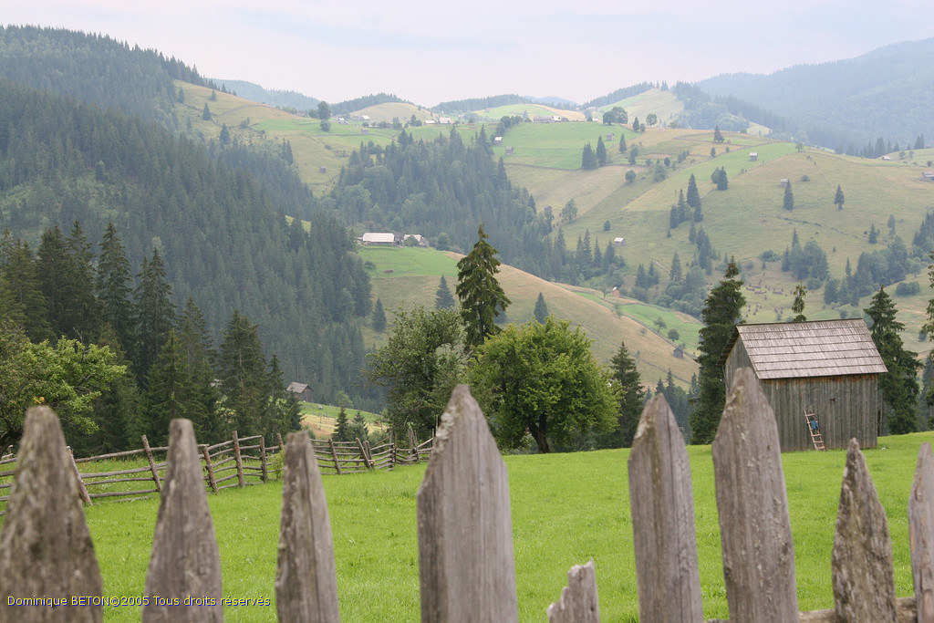 ROU_050812-145700