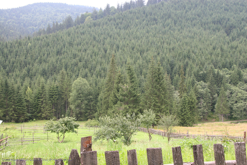 ROU_050812-150216