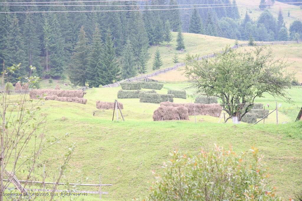 ROU_050812-150550