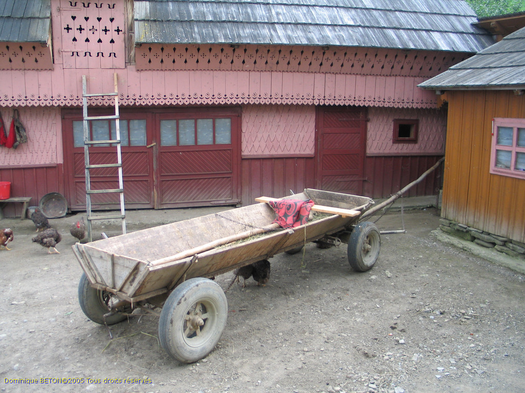 ROU_050812-151210G5