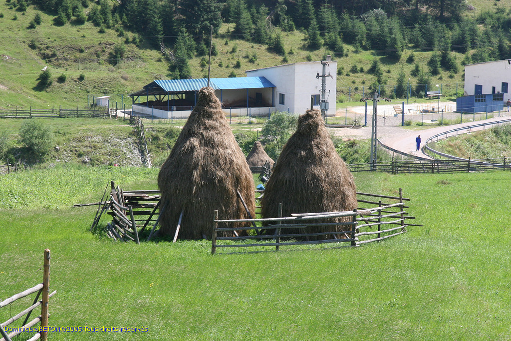 ROU_050814-122324