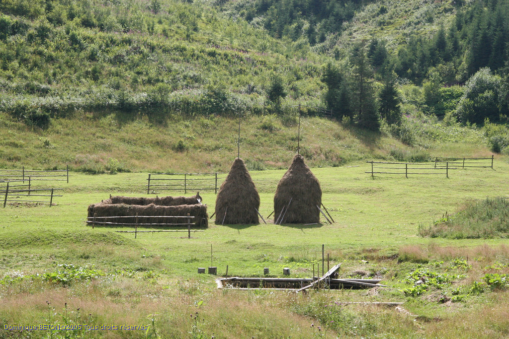 ROU_050814-143336