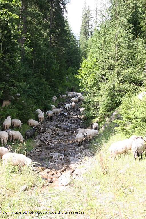 ROU_050814-143754