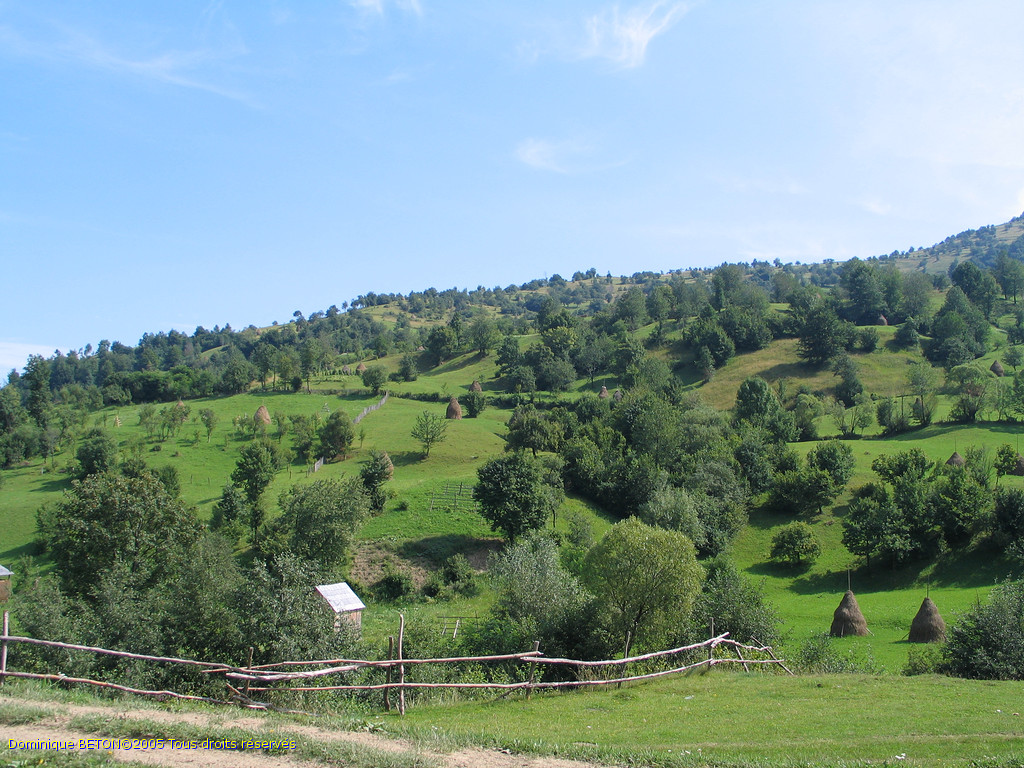ROU_050815-093334G5