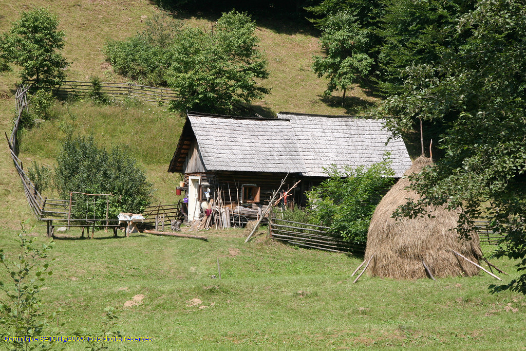 ROU_050815-115652