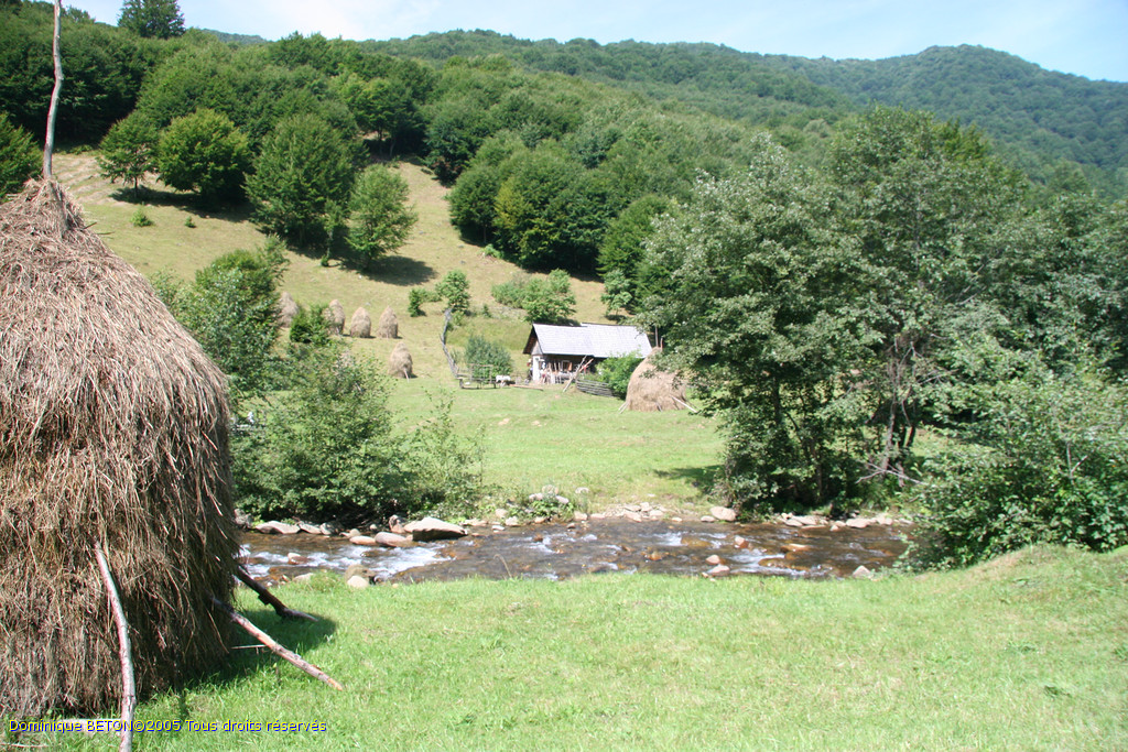 ROU_050815-115730