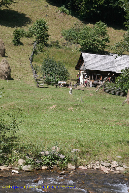 ROU_050815-115916