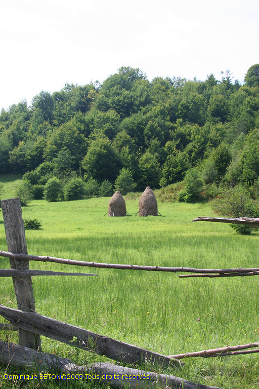 ROU_050815-130746