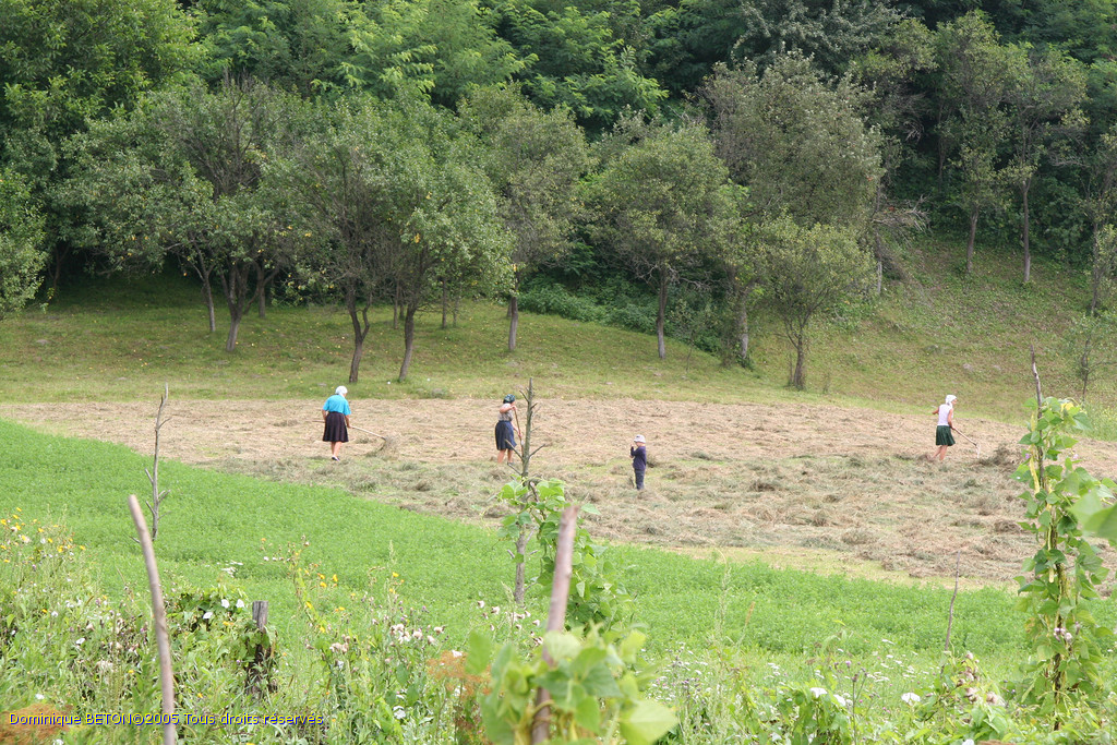 ROU_050816-110414