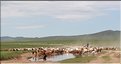 MNG_060731_046b