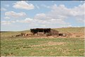MNG_060801_201