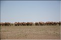 MNG_060802_348