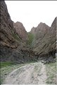 MNG_060803_426