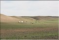 MNG_060803_452