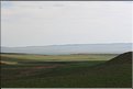 MNG_060803_455