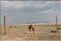 MNG_060805_510