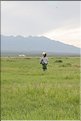 MNG_060806_724