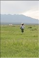 MNG_060806_724c