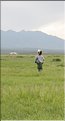 MNG_060806_724p