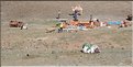 MNG_060809_968 (1)