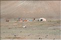 MNG_060809_972