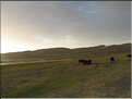 MNG_060810_1914